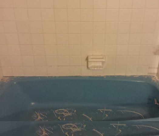 Bathtub Refinishing Green Bay